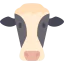 Cow icon 64x64