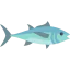 Tuna icon 64x64