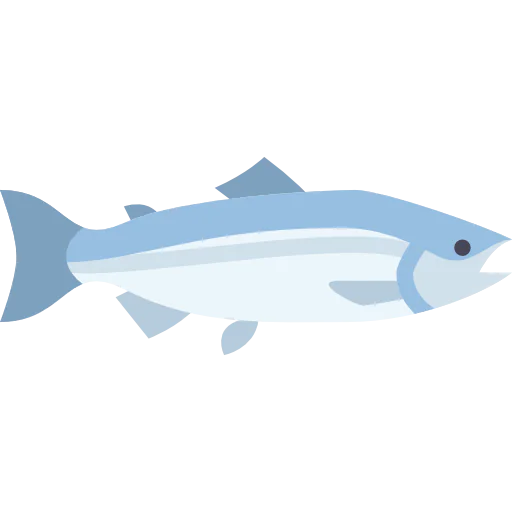 Salmon icon