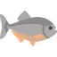 Piranha icon 64x64