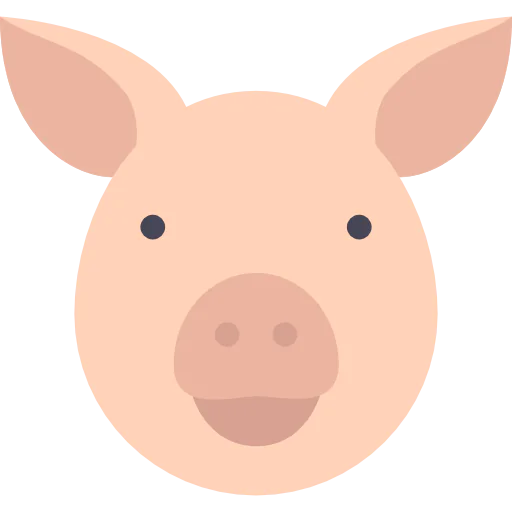 Pig icon