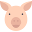 Pig icon 64x64