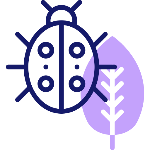 Ladybug icon