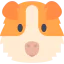 Guinea pig icon 64x64