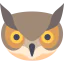 Owl icon 64x64