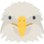 Eagle icon 64x64