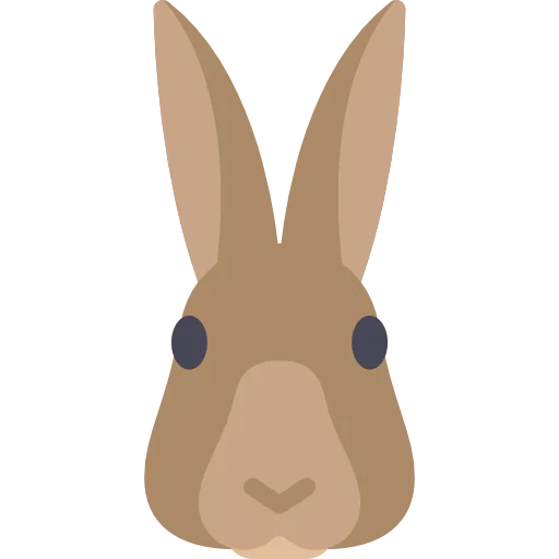 Rabbit icon