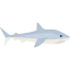 Shark icon 64x64