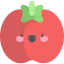 Tomato icon 64x64