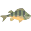 Perch icon 64x64