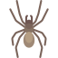 Spider icon 64x64