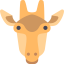 Giraffe icon 64x64