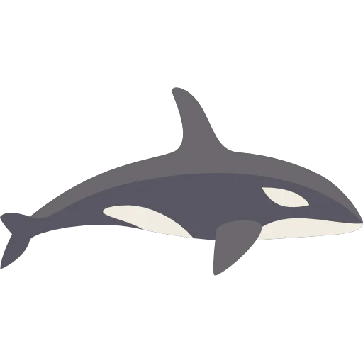 Orca icon