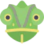 Chameleon icon 64x64