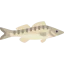 Zander icon 64x64