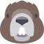 Beaver icon 64x64