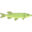 Pike icon 64x64