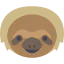 Sloth icon 64x64