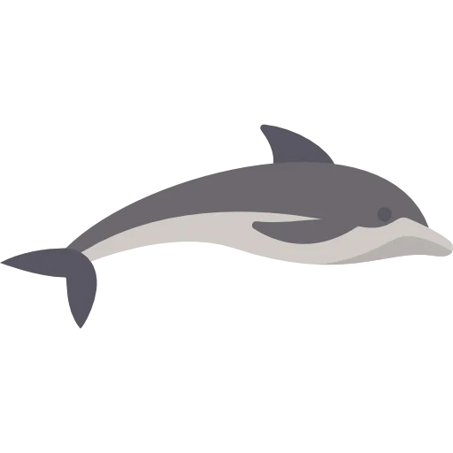 Dolphin icon