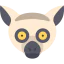 Lemur icon 64x64