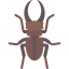 Beetle icon 64x64