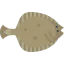 Flounder icon 64x64