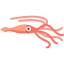 Squid icon 64x64