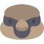 Sparrow icon 64x64