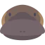 Platypus icon 64x64