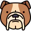 Bulldog 상 64x64
