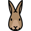 Rabbit 상 64x64