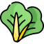 Lettuce icon 64x64