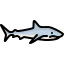 Shark 상 64x64