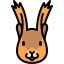 Squirrel 图标 64x64