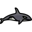 Orca 图标 64x64