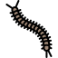 Centipede 图标 64x64