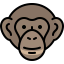 Chimpanzee іконка 64x64