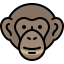 Chimpanzee 图标 64x64