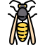 Wasp 图标 64x64