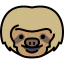 Sloth 图标 64x64