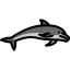 Dolphin 图标 64x64