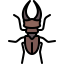 Beetle 图标 64x64