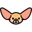 Fennec 图标 64x64