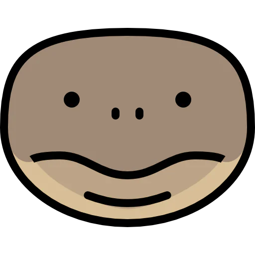 Turtle icon