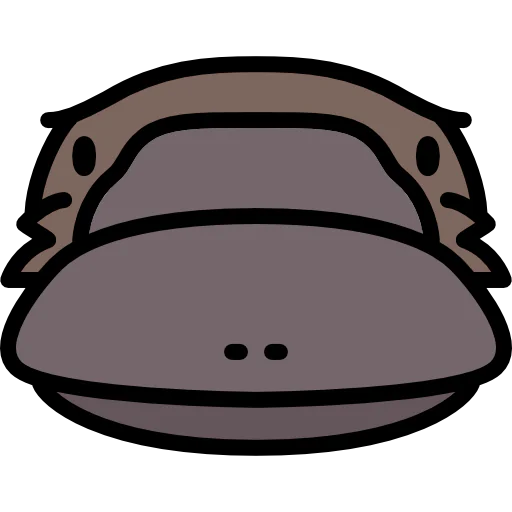 Platypus icon