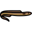 Moray 图标 64x64