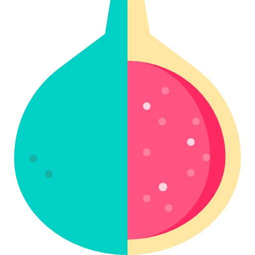 Fig icon
