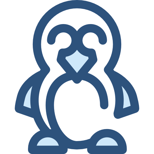 Linux Symbol