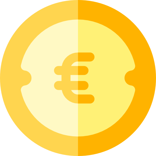 Euro icon