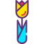 Tulip icône 64x64